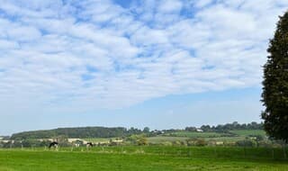Opklaringen rond de middag!