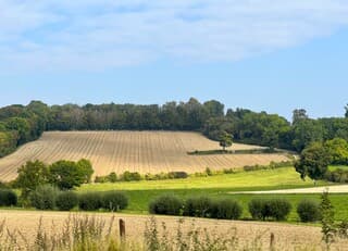 Opklaringen rond de middag!