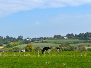 Opklaringen rond de  middag!