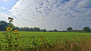 "Blokjes" bewolking rond middaguur ik Losser