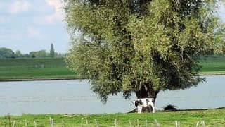  genieten van een mooie nazomerdag