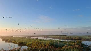 mooie mistige ochtend