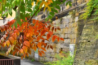 Herfst
