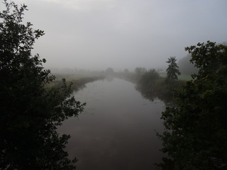 Mistig begin