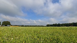 Bewolking maar ook blauwe luchten boven een landbouwveld in Ambt-Delden