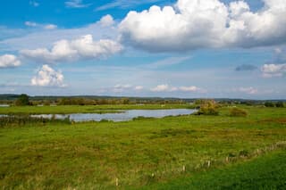 De uiterwaarden van de Rijn bij Eck en Wiel.