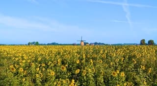 Een spectaculaire mooie start van de dag.