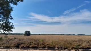 Zuid-Ginkel