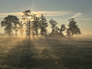 Mooie Mistige ochtend 