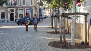 Feest vieren in den bosch 5 dagen lang