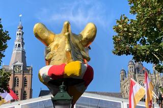 Zonnig en blauw  jubileumjaar oeteldonk