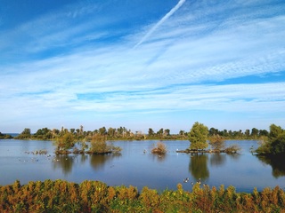 Lichte bewolking 