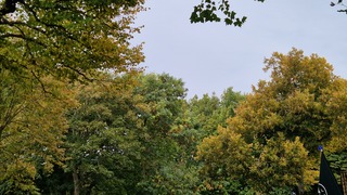 Herfstkleuren in den Burg 