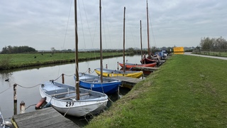 Grijze polder