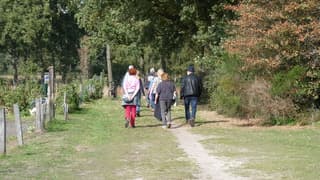 Zonnig wandelweer 