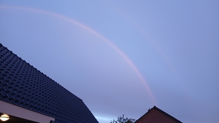 Regenboog 