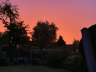 Morgenrood - water in de sloot