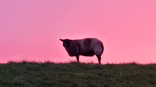 Weerfoto!