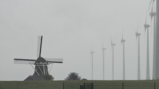 Veel regen
