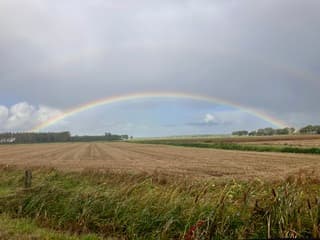 Regenboog 