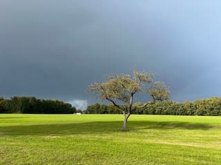 Donkere wolken boven het platteland van Twente
