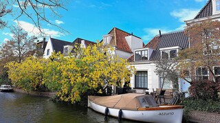 zonnig en kleurrijk