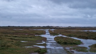 Andere route kiezen maandagochtend!