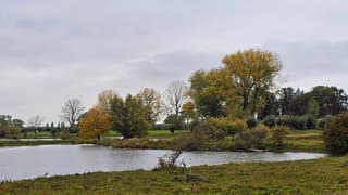 Herfstig en grijs bij slot Loevestein 