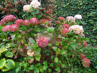 herfst