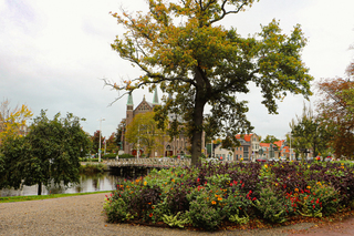 Herfst... een kleurrijk seizoen