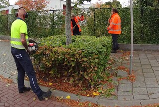 Herfstbladeren ruimen.