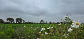 Donkere wolken boven de Groninger landerijen vanmiddag 