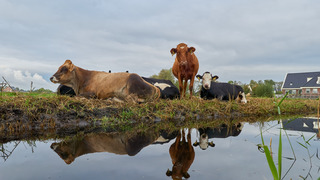 Rustig herfstweer