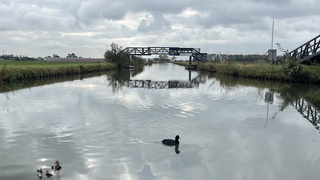 Reflectie grijze lucht reflectie in rustig water met meerkoet