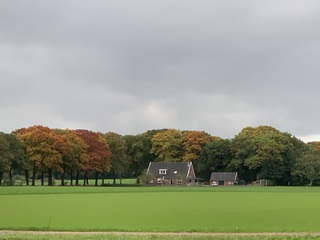 Kleur