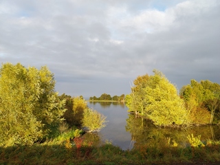 Zonnetje