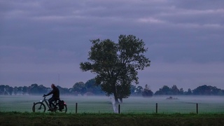 Laaghangende mist 