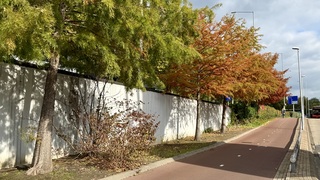 Prachtige herfstkleuren 