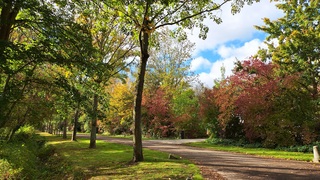 Herfstkleuren