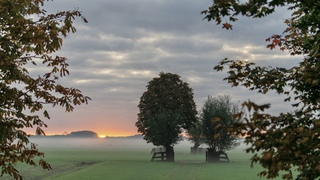 Laaghangende mist 