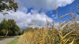Wolkenlucht en geregeld zon 