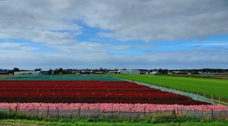 Blauw en wolken in Hillegom vanmiddag om 15.00 uur