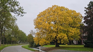 Herfstfoto