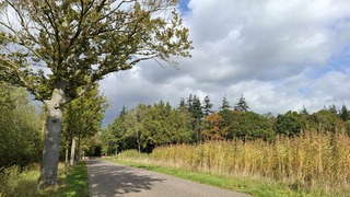 Wolkenlucht met regelmatig zon, rond 16 graden
