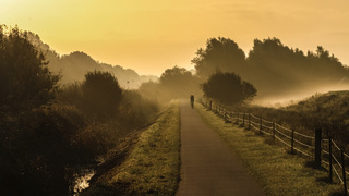 Lichte mist!