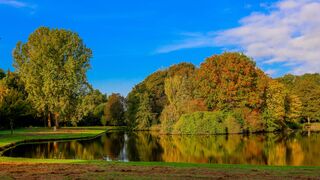 Herfstkleuren met een mooie blauwe lucht