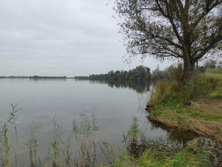 Grijs herfstweer en weinig wind.