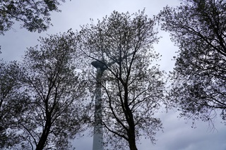 De Ambtenaar
