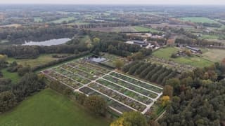 Drone Grauwe lucht in Borculo met bloemenzee