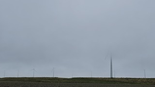 Mist